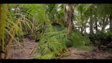 screenshot_4817b9250d1cdb471.png
