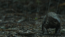screenshot_1d7b955186d5f9249.png