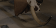 screenshot_45fea4a6c059b80f9.png