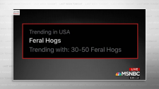 screenshot_198b253b77ab3e2b1.png