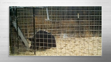 screenshot_343d5ce388eddc452.png