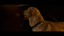 screenshot_467ea5ad02c5f9a77.png