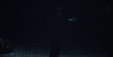 Sugar-3.png