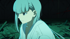 Petals-of-Reincarnation-2cd1ea050b50b4a84.png
