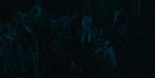 From-00e93feb95824f988.png