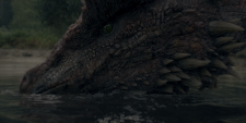 House-of-the-Dragon-2dd10ff7c59fdbbf1.png