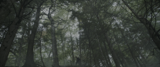 screenshot_1173e7cb0a9c3e4fd.png