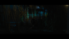 screenshot_3fa1ce5f1590c7793.png