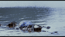 f24d8322c95fb68a319557f8714c522b.png