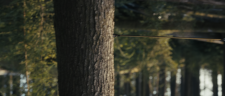 screenshot_1a11b51b4c0459c96.png