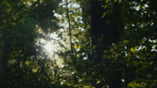 screenshot_4e15ebdfe0211d30d.png