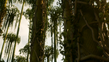 screenshot_12687e476c37fec82.png