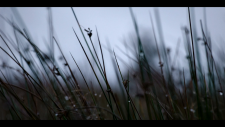 screenshot_11ef55077fe602516.png