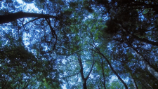 screenshot_356b4fc396597af92.png
