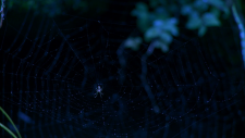 screenshot_4f6a2b0c8677e2b95.png