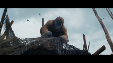 screenshot_1310e71141c6121aa.png