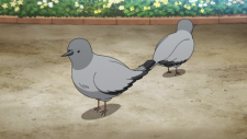 Lets-go-KAIKIGUMI-1fee538522d84ec04.png