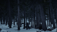 vlcsnap-2026-07-20-11h10m54s103.png