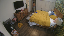 17870367026a84041e36b5c.png