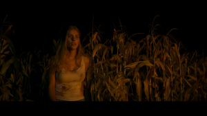 5068651931cf5bb15eb02c02c49e2d3f.png