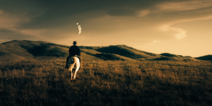 9cdc4d154d12144df4e859b6cbd1f2a7.png