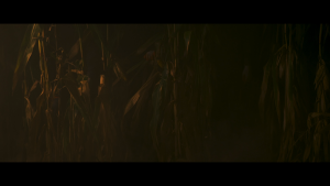 d81fcf62bf77a5e8601f19006ec1cdfb.png